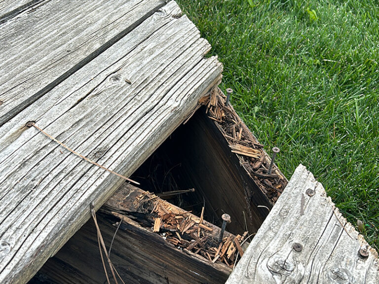 Close-up of a deteriorated wooden deck corner with removed deck board exposing rotten joists and weathered boards.