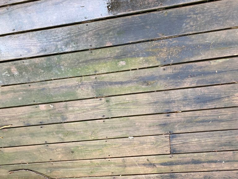 A straight-down view of a wooden deck with gray, discolored boards covered in mold and mildew.